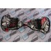 Titan - Skull New 10.5 Inch